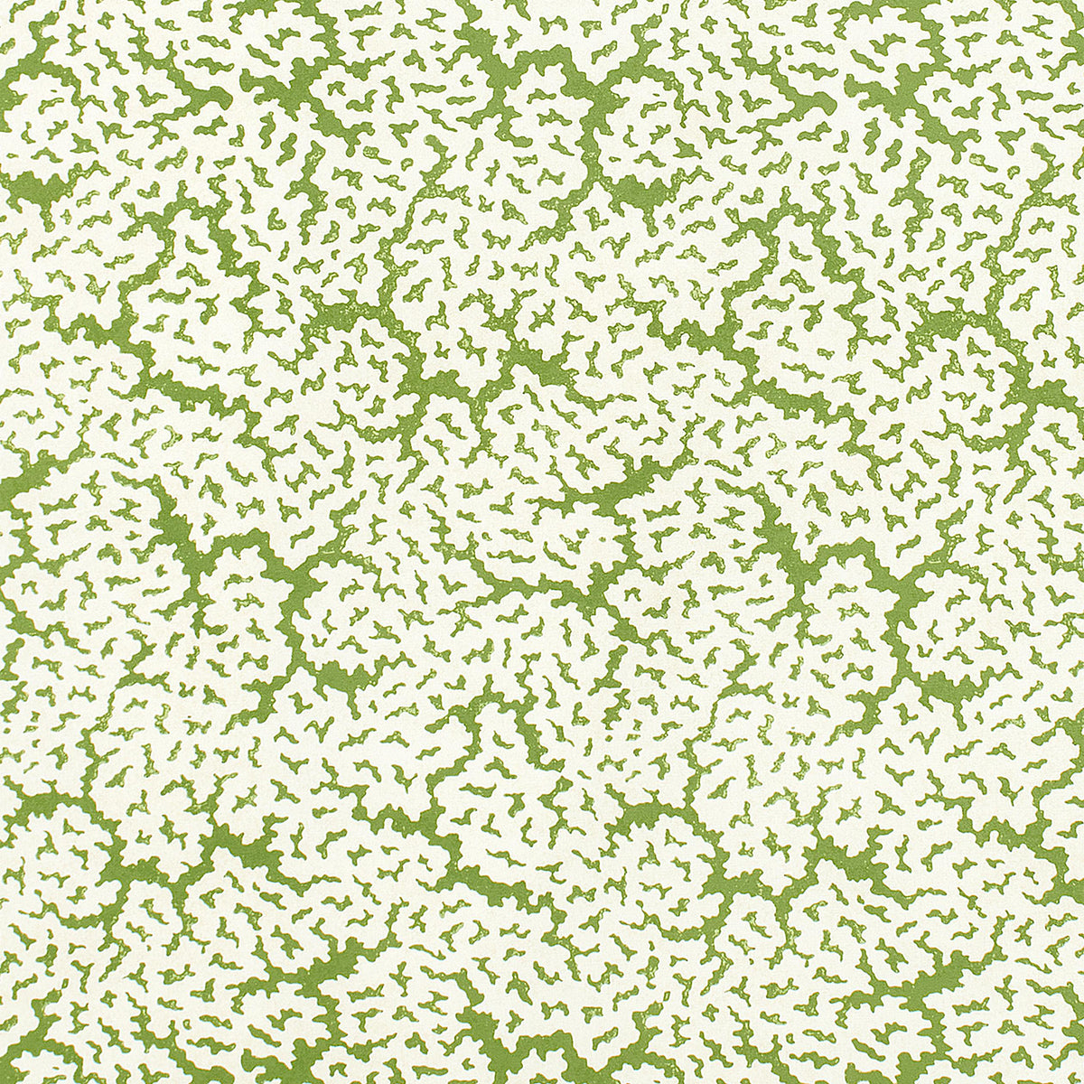 Thibaut Maldives Green Fabric