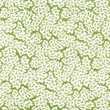 Thibaut Maldives Green Fabric