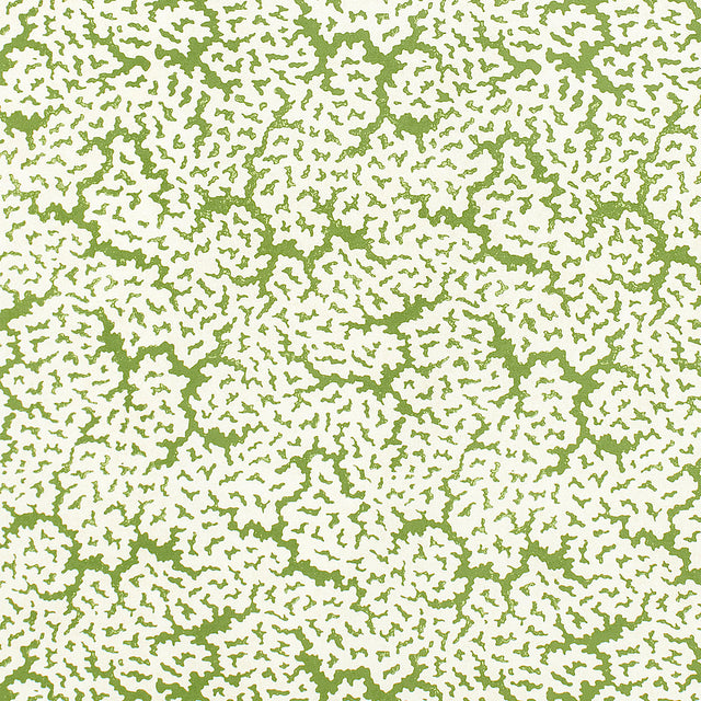Thibaut Maldives Green Fabric