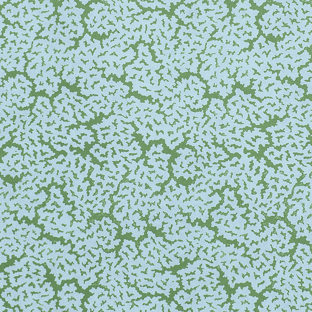 Thibaut Maldives Blue And Green Fabric