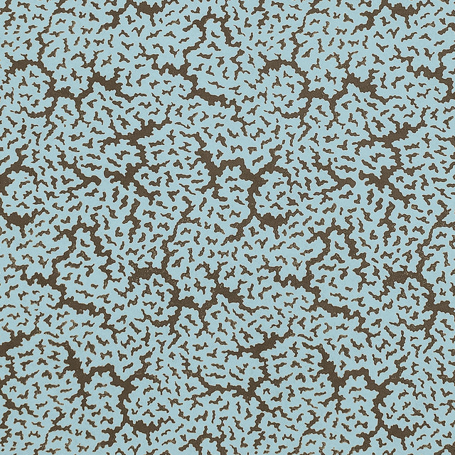 Thibaut MALDIVES Spa Blue and Brown Fabric