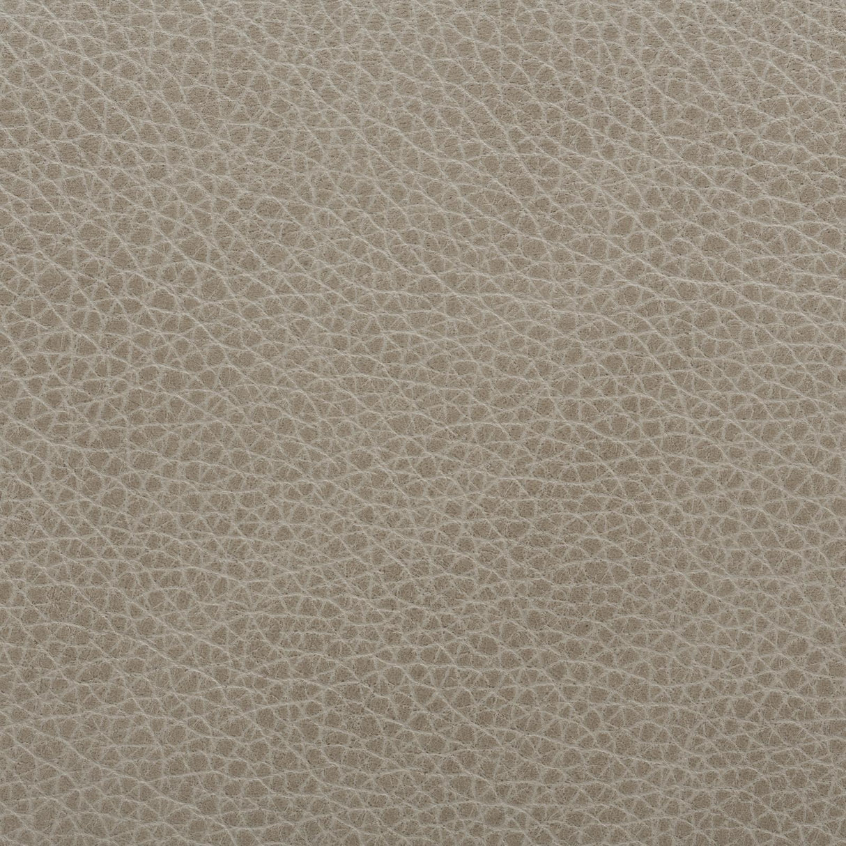 Coraggio CORAGGIO LEATHER Carrera Fabric