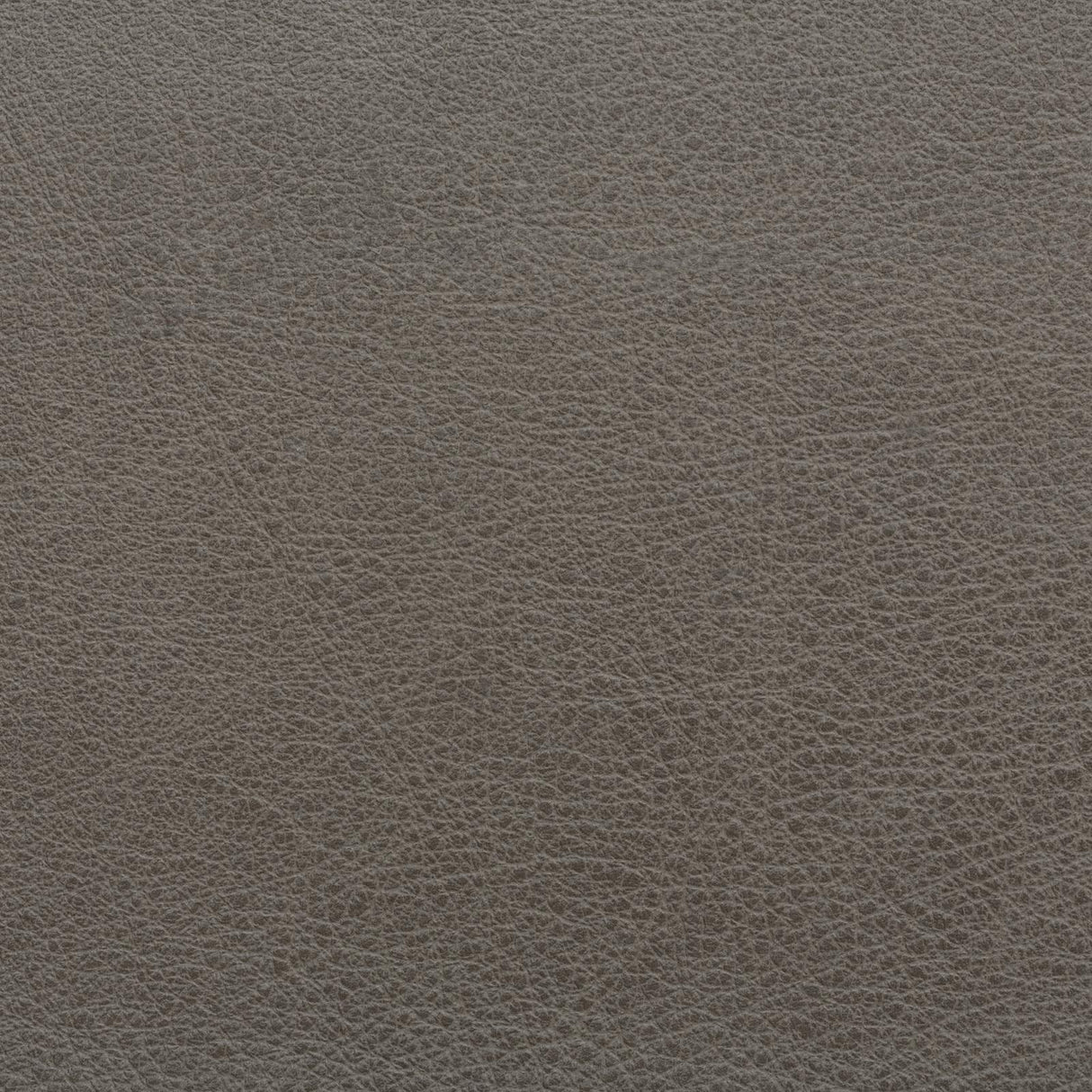 Coraggio CORAGGIO LEATHER Grey Fabric