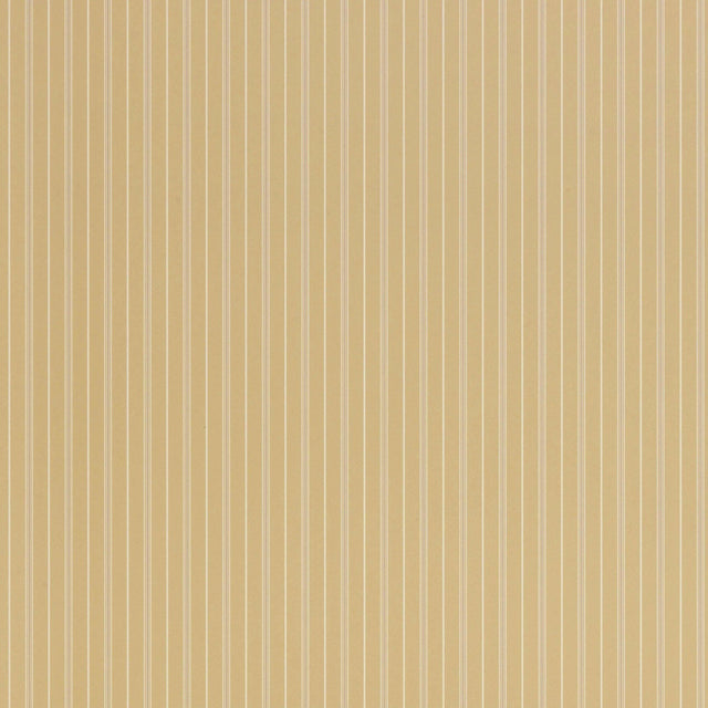 Thibaut Harrison Stripe Camel Wallpaper