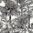 Thibaut Palm Botanical Black Wallpaper
