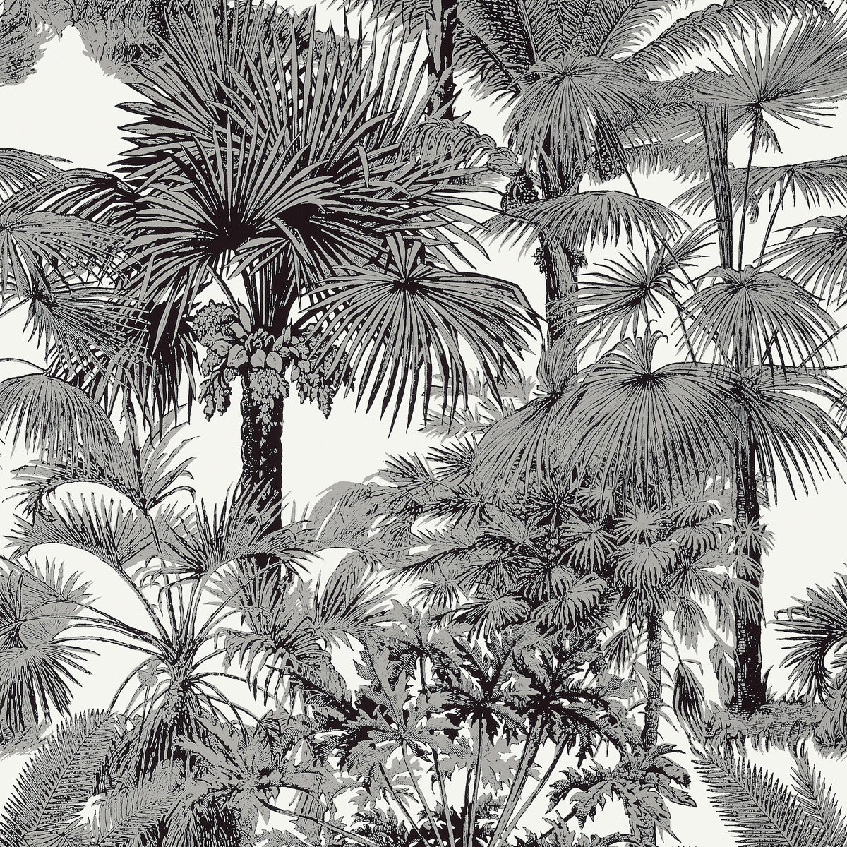 Thibaut Palm Botanical Black Wallpaper