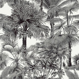 Thibaut Palm Botanical Black Wallpaper