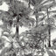 Thibaut Palm Botanical Black Wallpaper