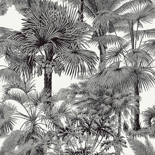 Thibaut Palm Botanical Black Wallpaper