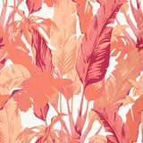 Thibaut Travelers Palm Pink And Coral Wallpaper