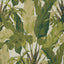 Thibaut Travelers Palm Sage Wallpaper