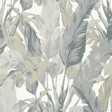 Thibaut Travelers Palm Grey Wallpaper