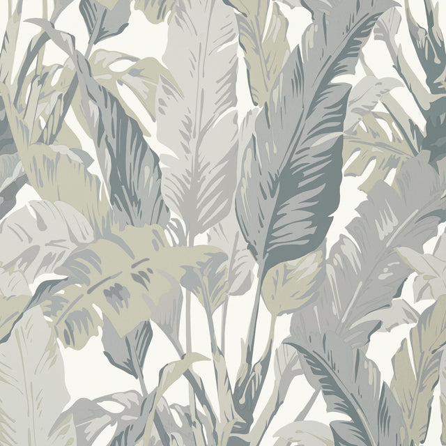 Thibaut Travelers Palm Grey Wallpaper