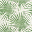 Thibaut Palm Frond Green And White Wallpaper