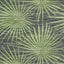 Thibaut Palm Frond Black And Green Wallpaper