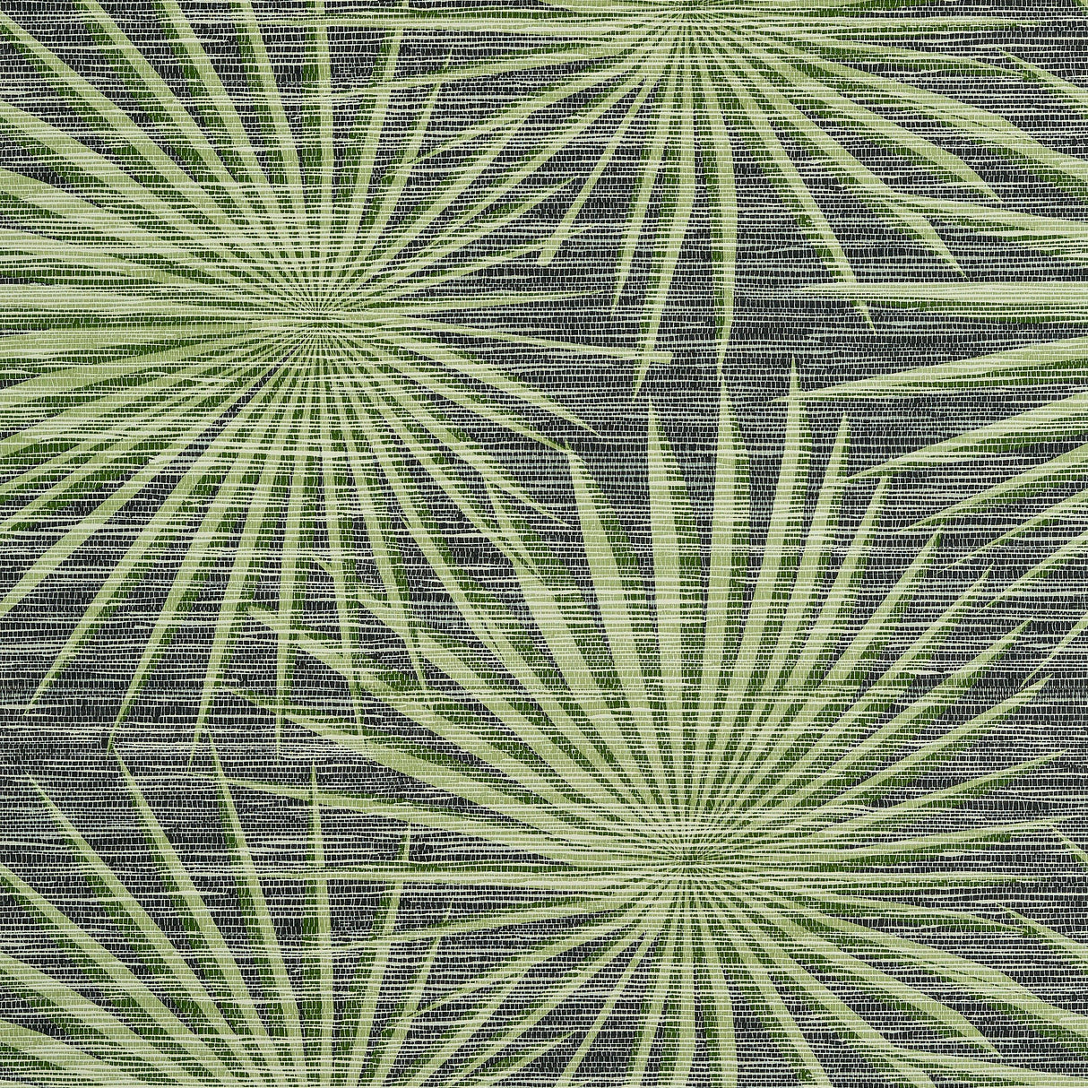 Thibaut Palm Frond Black And Green Wallpaper