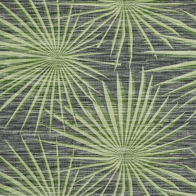 Thibaut Palm Frond Black And Green Wallpaper