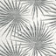 Thibaut Palm Frond Black And White Wallpaper