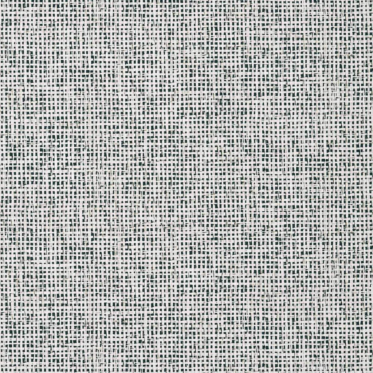 Thibaut Pinellas Black Wallpaper