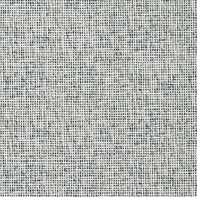 Thibaut Pinellas Black Wallpaper