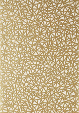 Thibaut AEDAN Cream Wallpaper