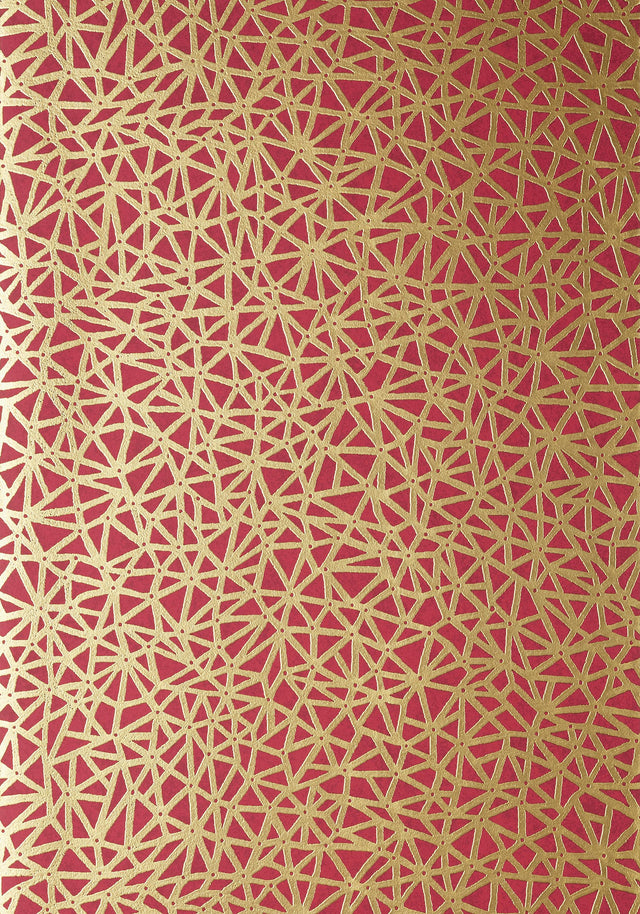 Thibaut AEDAN Raspberry Wallpaper