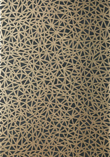 Thibaut AEDAN Black Wallpaper