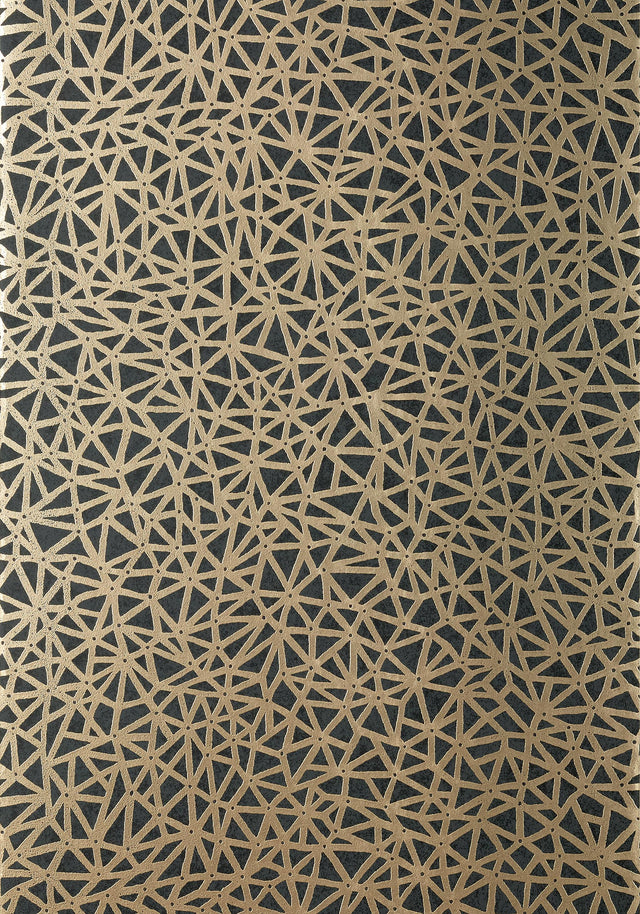 Thibaut AEDAN Black Wallpaper