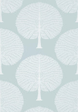 Thibaut MULBERRY TREE Spa Blue Wallpaper