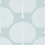 Thibaut Mulberry Tree Spa Blue Wallpaper