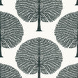 Thibaut Mulberry Tree Black And White Wallpaper