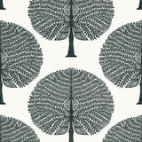 Thibaut Mulberry Tree Black And White Wallpaper