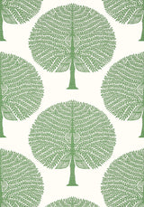 Thibaut MULBERRY TREE Green Wallpaper