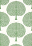 Thibaut MULBERRY TREE Green Wallpaper