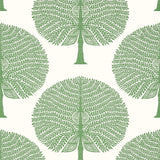 Thibaut Mulberry Tree Green Wallpaper