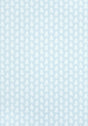 Thibaut FERNDALE Spa Blue Wallpaper