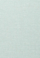 Thibaut VILLA GARDEN TEXTURE Robin's Egg Wallpaper