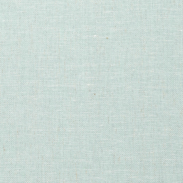 Thibaut Villa Garden Texture Robin'S Egg Wallpaper