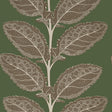 Thibaut LACINATO Wild Sage Wallpaper