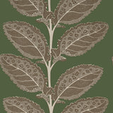 Thibaut Lacinato Wild Sage Wallpaper