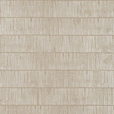 Thibaut Tetons Birch Wallpaper