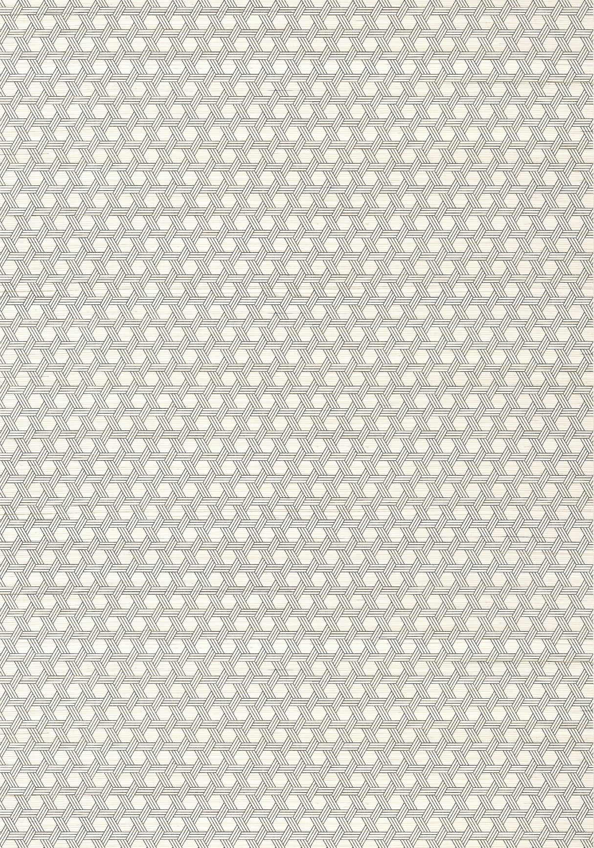 Thibaut PERGOLA Black Wallpaper