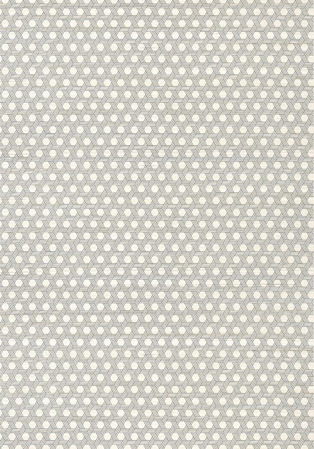 Thibaut PERGOLA Black Wallpaper