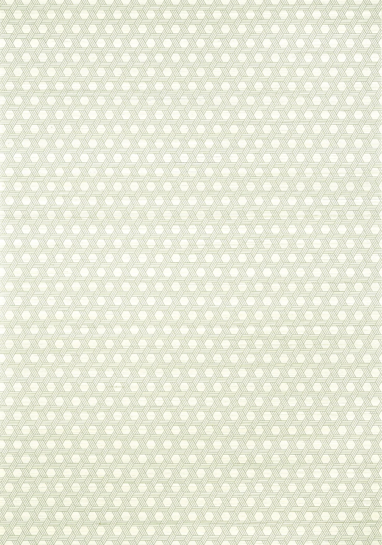 Thibaut PERGOLA Green Wallpaper