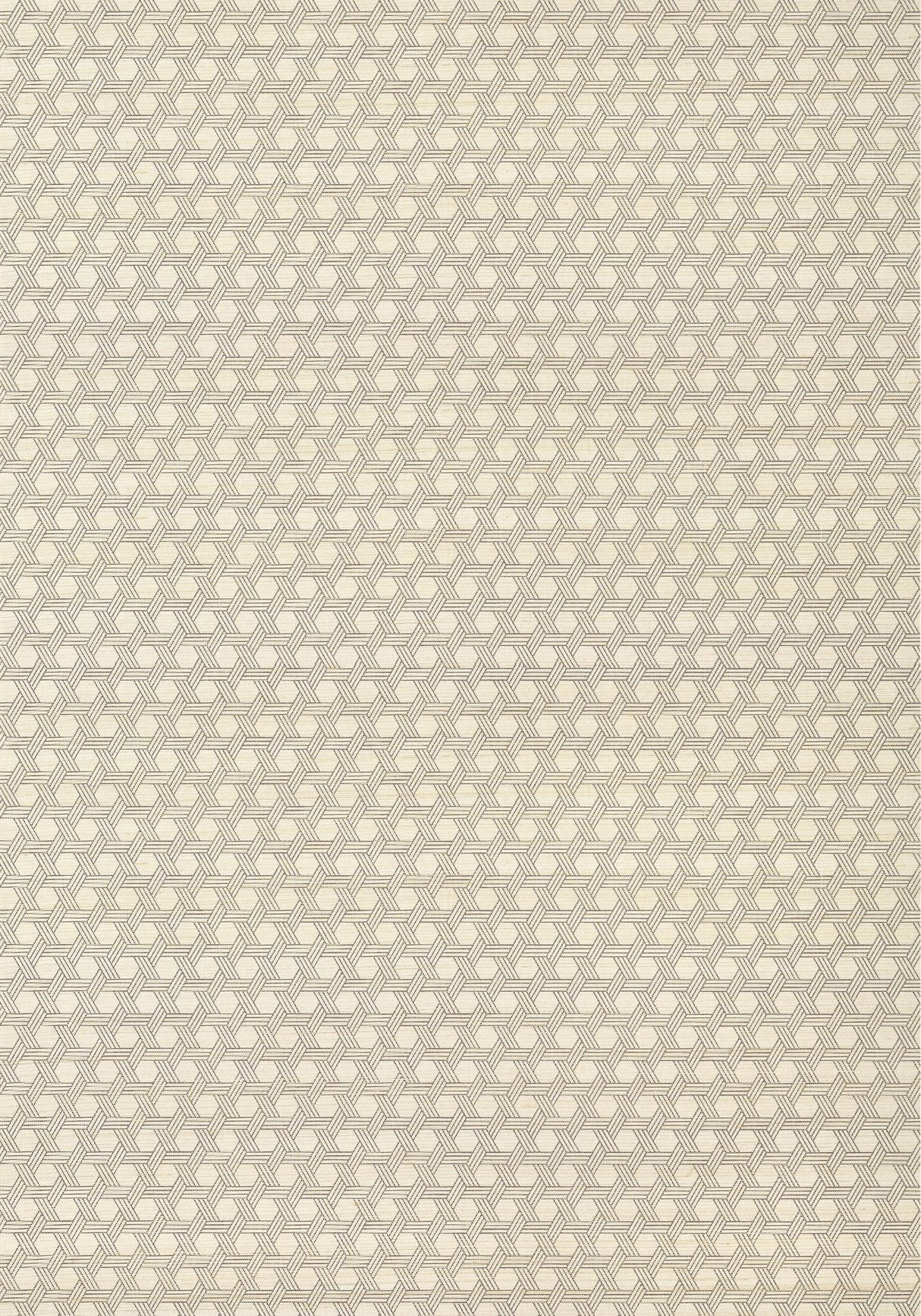 Thibaut PERGOLA Brown Wallpaper