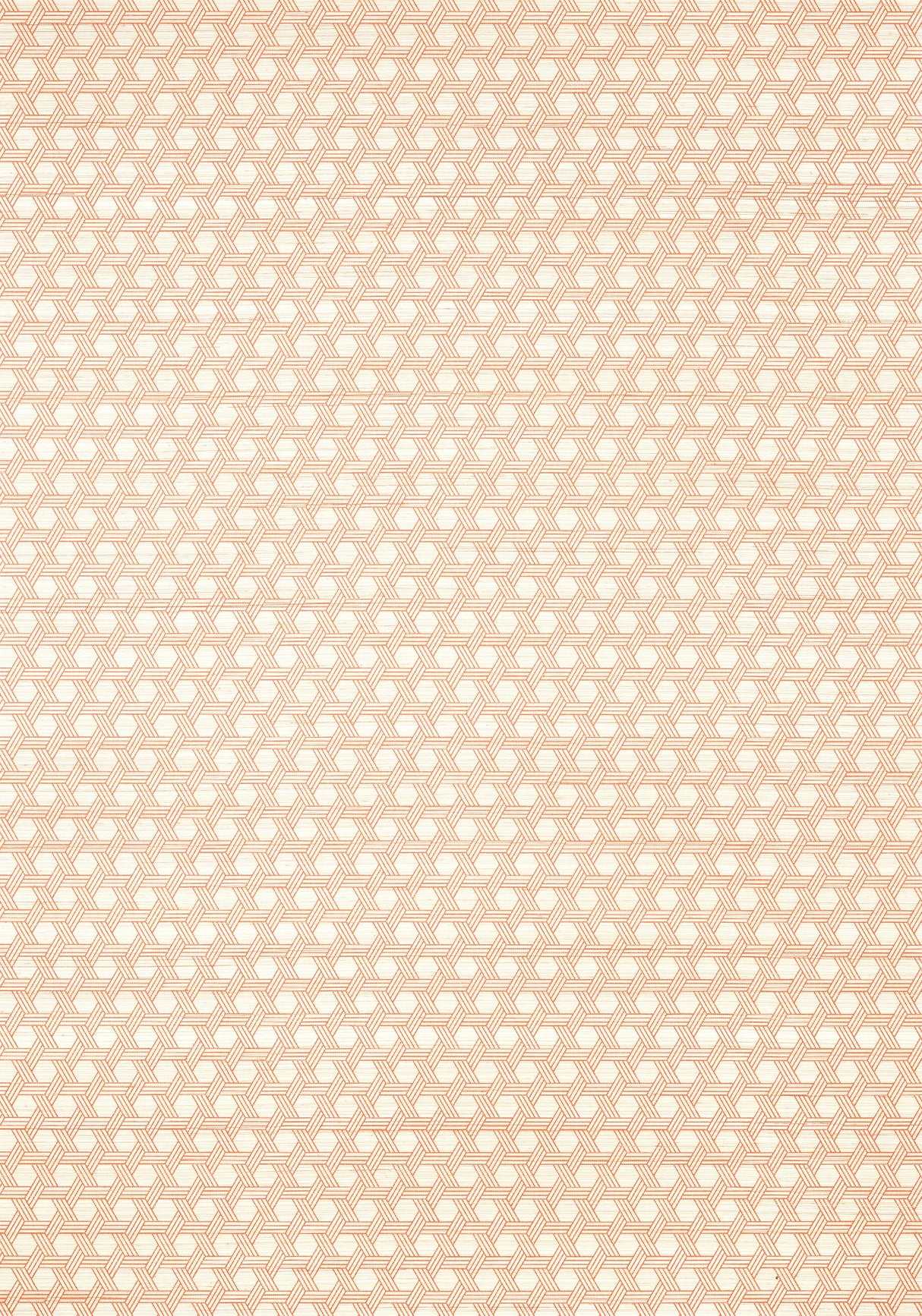 Thibaut PERGOLA Orange Wallpaper