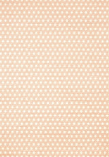 Thibaut PERGOLA Orange Wallpaper