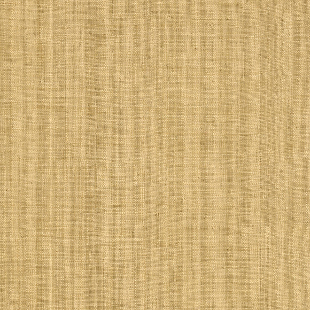 Thibaut Carolina Raffia Straw Wallpaper