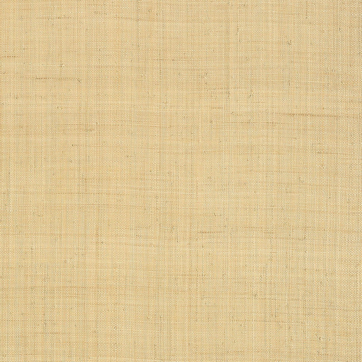 Thibaut Carolina Raffia Natural Wallpaper