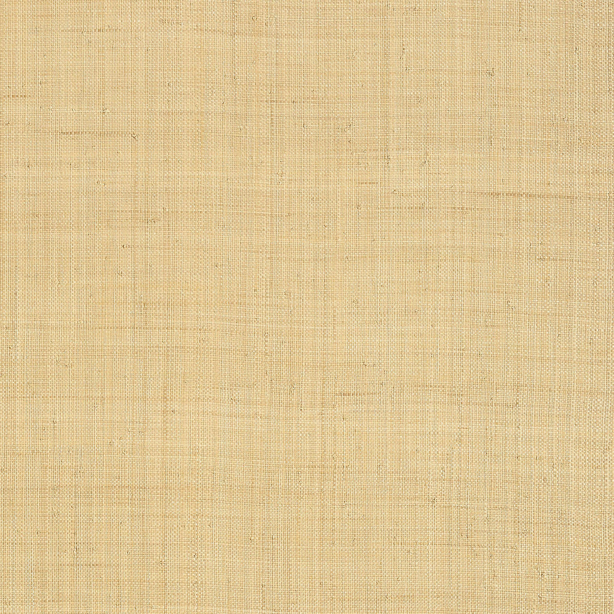 Thibaut Carolina Raffia Natural Wallpaper